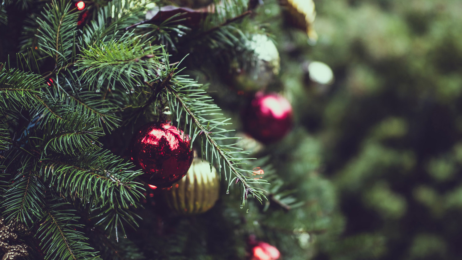 Communication interpersonnelle : joyeux Becomino de Noël 🎁